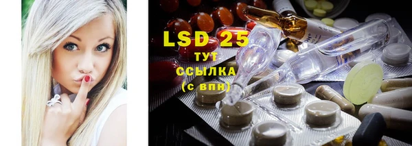 сатива Бабаево
